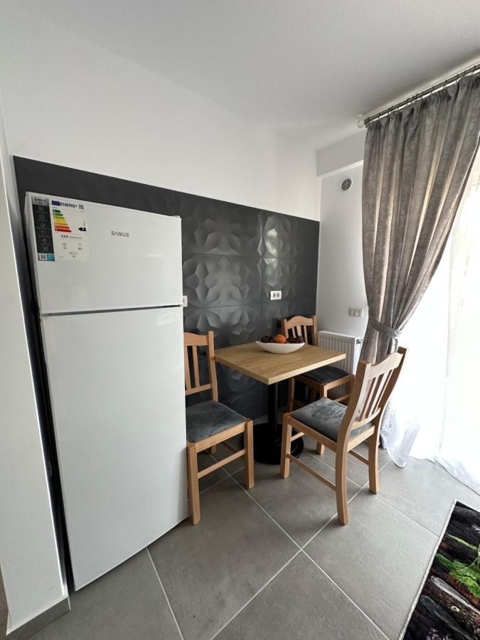 Apartment Arinis Gura Humorului