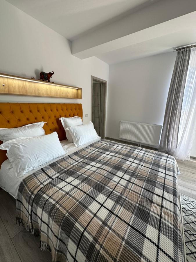 Arinis Apartment Gura Humorului