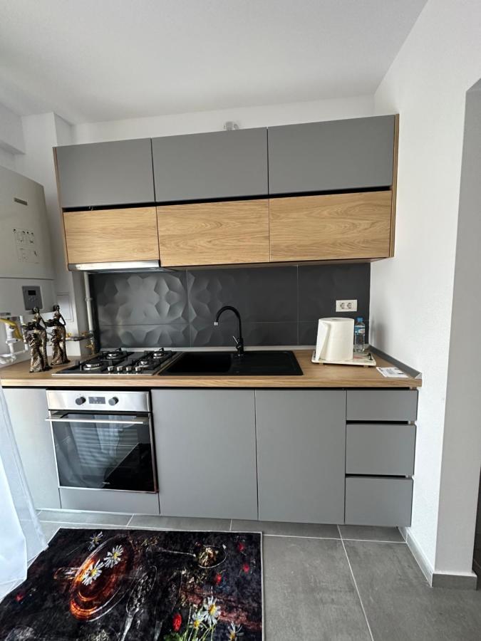 Arinis Apartment Gura Humorului